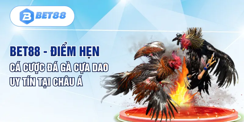 Bet88 - Điểm hẹn cá cược đá gà cựa dao uy tín tại châu Á