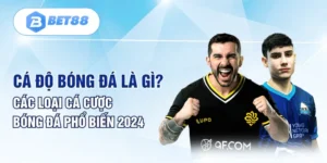 Cá Độ Bóng Đá Là Gì? Các Loại Cá Cược Bóng Đá Phổ Biến 2024