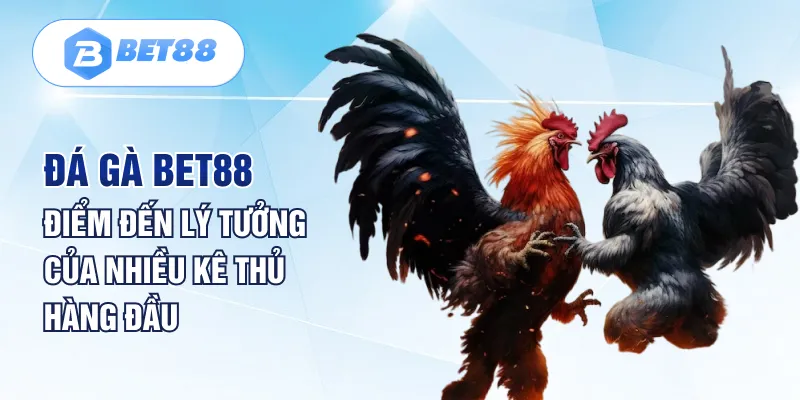 Đá Gà Bet88 - Điểm Đến Lý Tưởng Của Nhiều Kê Thủ Hàng Đầu