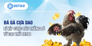 Đá Gà Cựa Dao - Bí Kíp Cược Đâu Thắng Đó Từ Cao Thủ Bet88