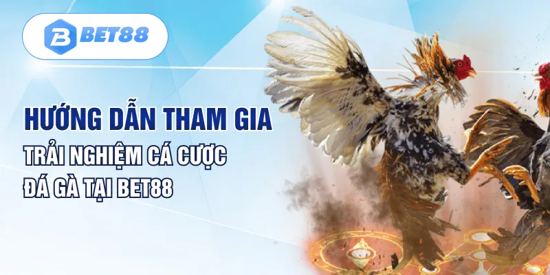 Hướng dẫn tham gia trải nghiệm cá cược đá gà tại Bet88