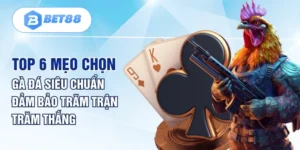 Top 6 Mẹo Chọn Gà Đá Siêu Chuẩn Đảm Bảo Trăm Trận Trăm Thắng