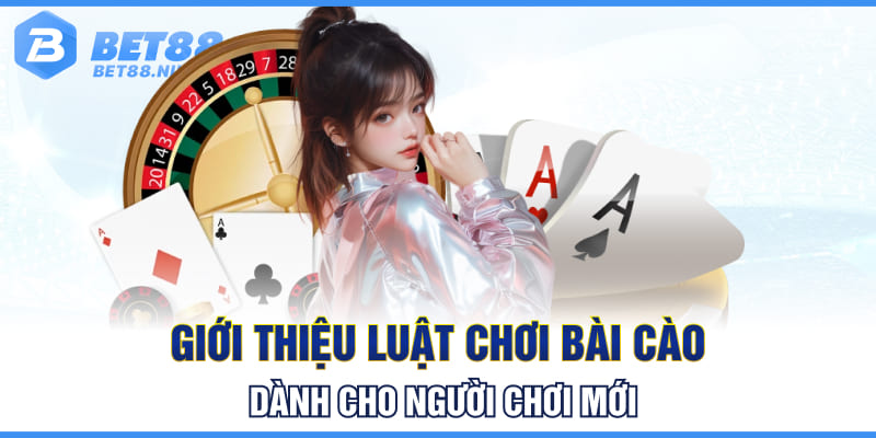 Giới thiệu luật chơi bài cào dành cho người chơi mới