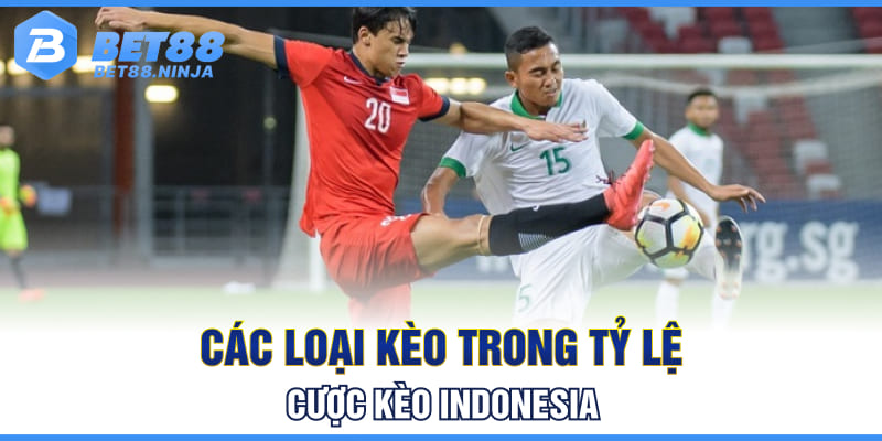Các loại kèo trong tỷ lệ cược kèo Indonesia
