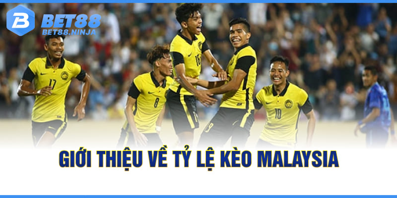 Giới thiệu về tỷ lệ kèo Malaysia