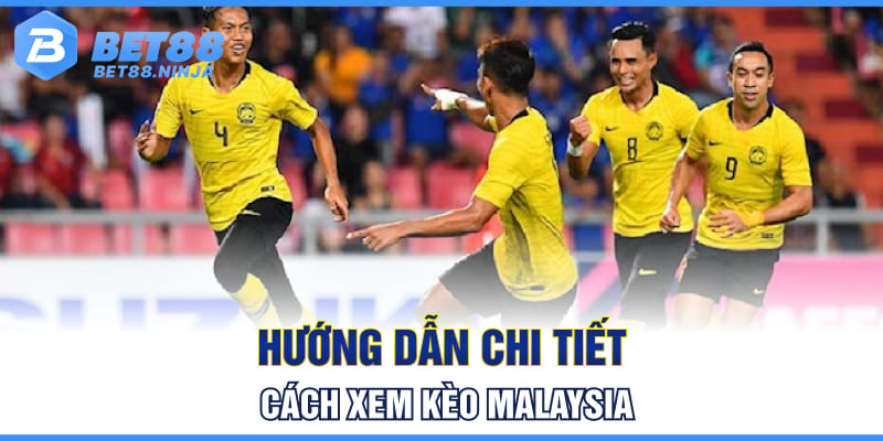 Hướng dẫn chi tiết cách xem kèo Malaysia