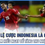 Tỷ Lệ Cược Indonesia Là Gì? Tìm Hiểu Ngay Để Tăng Thu Nhập