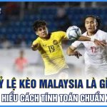 Tỷ Lệ Kèo Malaysia Là Gì? Tìm Hiểu Cách Tính Toán Chuẩn Xác